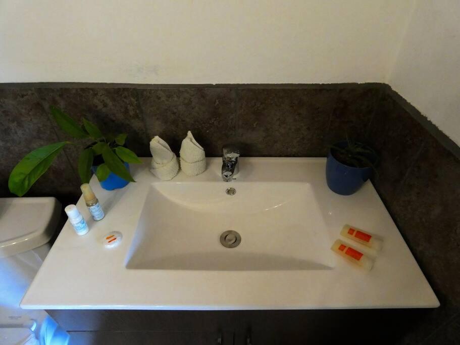 Apartament Tapiru'S House - Bahia Drake Drake Bay Zewnętrze zdjęcie