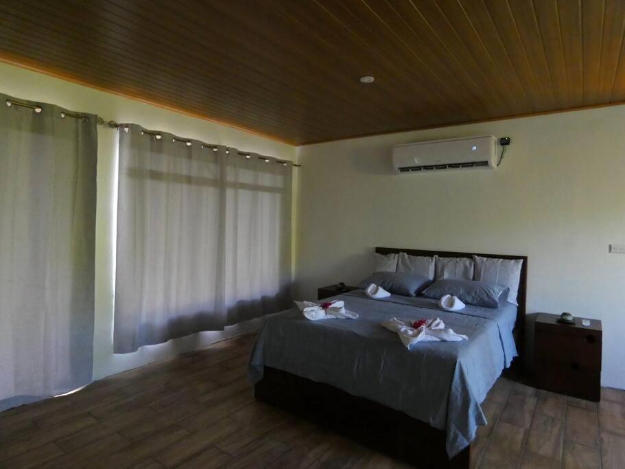 Apartament Tapiru'S House - Bahia Drake Drake Bay Zewnętrze zdjęcie