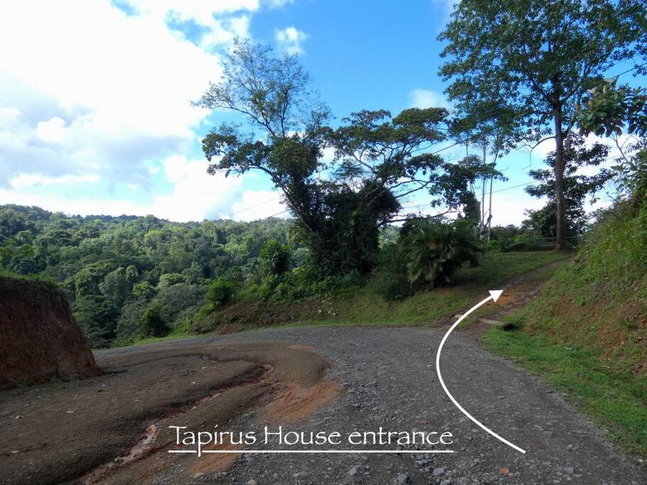Apartament Tapiru'S House - Bahia Drake Drake Bay Zewnętrze zdjęcie