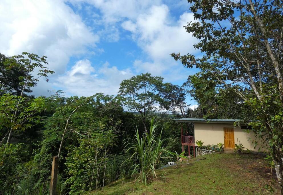 Apartament Tapiru'S House - Bahia Drake Drake Bay Zewnętrze zdjęcie